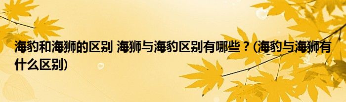 海豹和海獅的區(qū)別 海獅與海豹區(qū)別有哪些？(海豹與海獅有什么區(qū)別)