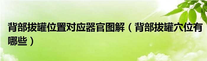 背部拔罐位置對應(yīng)器官圖解（背部拔罐穴位有哪些）