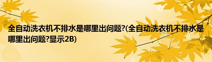 全自動洗衣機不排水是哪里出問題?(全自動洗衣機不排水是哪里出問題?顯示2B)