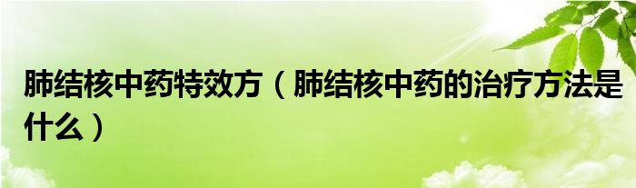 肺結核中藥特效方（肺結核中藥的治療方法是什么）