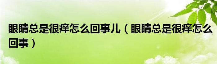 眼睛總是很癢怎么回事兒（眼睛總是很癢怎么回事）