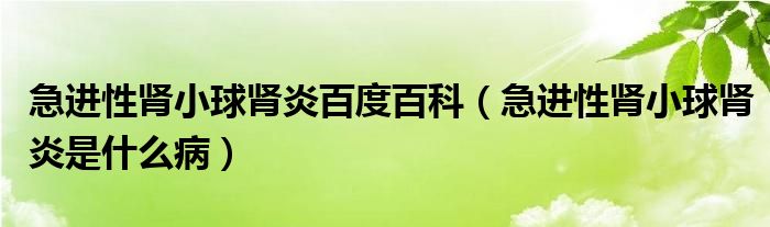 急進(jìn)性腎小球腎炎百度百科（急進(jìn)性腎小球腎炎是什么?。? /></span>
		<span id=