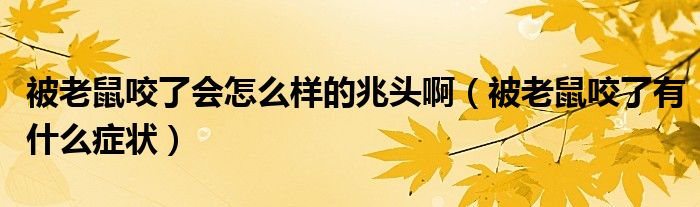 被老鼠咬了會(huì)怎么樣的兆頭?。ū焕鲜笠Я擞惺裁窗Y狀）