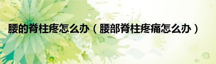腰的脊柱疼怎么辦（腰部脊柱疼痛怎么辦）