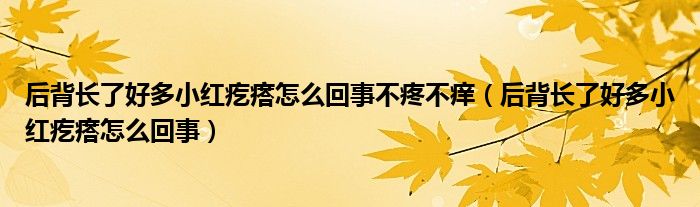 后背長了好多小紅疙瘩怎么回事不疼不癢（后背長了好多小紅疙瘩怎么回事）