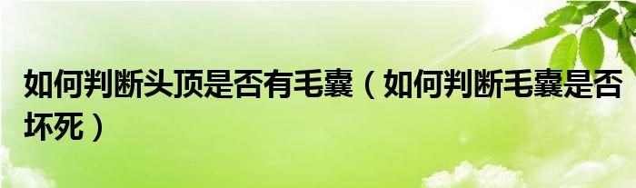 如何判斷頭頂是否有毛囊（如何判斷毛囊是否壞死）