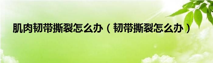 肌肉韌帶撕裂怎么辦（韌帶撕裂怎么辦）