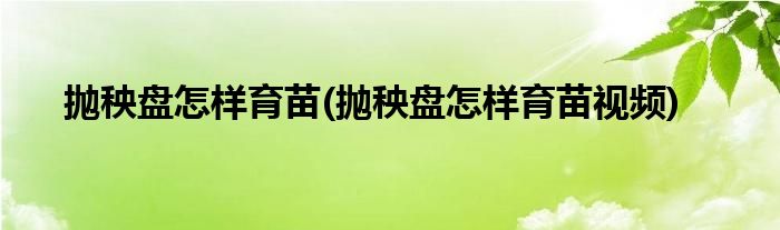 拋秧盤怎樣育苗(拋秧盤怎樣育苗視頻)