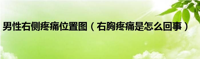 男性右側(cè)疼痛位置圖（右胸疼痛是怎么回事）