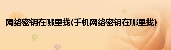 網(wǎng)絡(luò)密鑰在哪里找(手機(jī)網(wǎng)絡(luò)密鑰在哪里找)