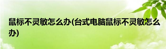 鼠標(biāo)不靈敏怎么辦(臺式電腦鼠標(biāo)不靈敏怎么辦)