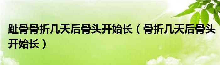 趾骨骨折幾天后骨頭開始長(zhǎng)（骨折幾天后骨頭開始長(zhǎng)）