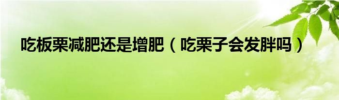 吃板栗減肥還是增肥（吃栗子會(huì)發(fā)胖嗎）