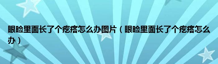 眼瞼里面長(zhǎng)了個(gè)疙瘩怎么辦圖片（眼瞼里面長(zhǎng)了個(gè)疙瘩怎么辦）