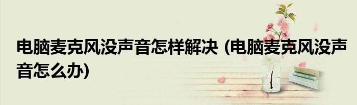 電腦麥克風(fēng)沒聲音怎樣解決 (電腦麥克風(fēng)沒聲音怎么辦)