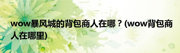 wow暴風(fēng)城的背包商人在哪？(wow背包商人在哪里)