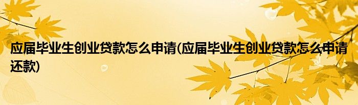 應屆畢業(yè)生創(chuàng)業(yè)貸款怎么申請(應屆畢業(yè)生創(chuàng)業(yè)貸款怎么申請還款)