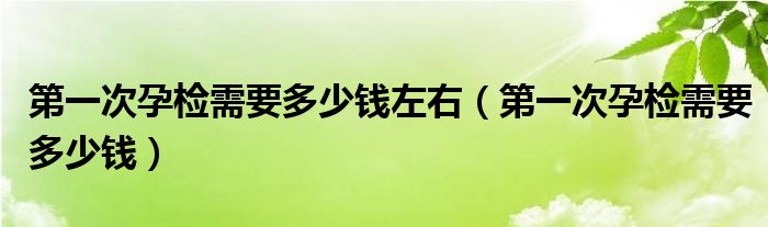 第一次孕檢需要多少錢左右（第一次孕檢需要多少錢）