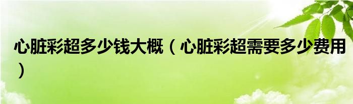 心臟彩超多少錢大概（心臟彩超需要多少費用）