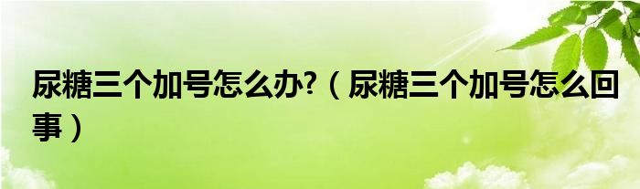 尿糖三個(gè)加號怎么辦?（尿糖三個(gè)加號怎么回事）