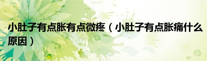 小肚子有點脹有點微疼（小肚子有點脹痛什么原因）