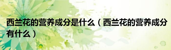 西蘭花的營(yíng)養(yǎng)成分是什么（西蘭花的營(yíng)養(yǎng)成分有什么）