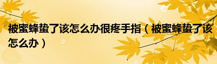 被蜜蜂蟄了該怎么辦很疼手指（被蜜蜂蟄了該怎么辦）