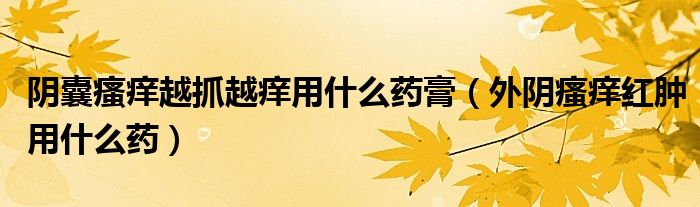 陰囊瘙癢越抓越癢用什么藥膏（外陰瘙癢紅腫用什么藥）