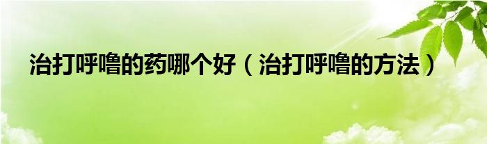 治打呼嚕的藥哪個(gè)好（治打呼嚕的方法）