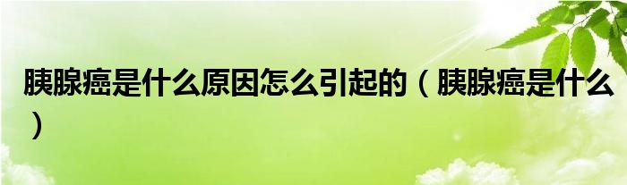 胰腺癌是什么原因怎么引起的（胰腺癌是什么）