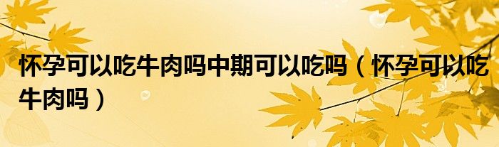 懷孕可以吃牛肉嗎中期可以吃嗎（懷孕可以吃牛肉嗎）