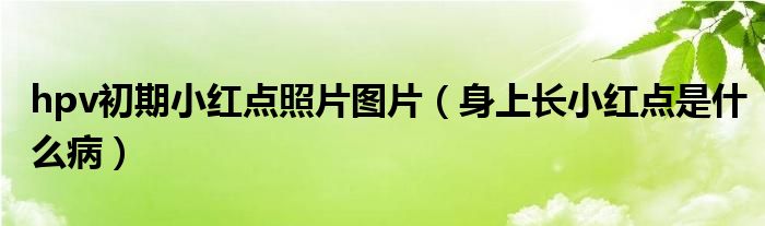 hpv初期小紅點(diǎn)照片圖片（身上長(zhǎng)小紅點(diǎn)是什么?。? /></span>
		<span id=