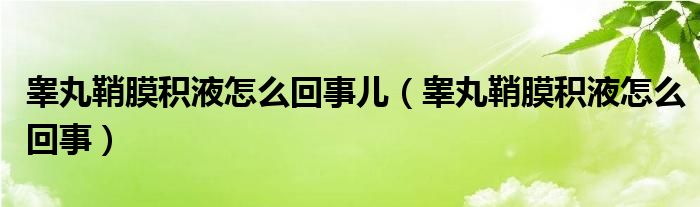 睪丸鞘膜積液怎么回事兒（睪丸鞘膜積液怎么回事）