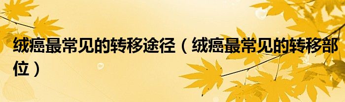 絨癌最常見的轉(zhuǎn)移途徑（絨癌最常見的轉(zhuǎn)移部位）