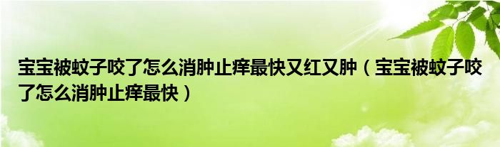 寶寶被蚊子咬了怎么消腫止癢最快又紅又腫（寶寶被蚊子咬了怎么消腫止癢最快）