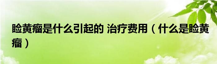 瞼黃瘤是什么引起的 治療費(fèi)用（什么是瞼黃瘤）