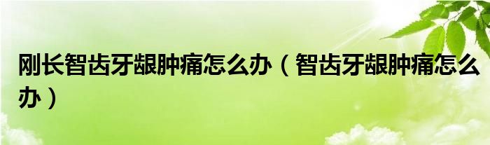 剛長智齒牙齦腫痛怎么辦（智齒牙齦腫痛怎么辦）