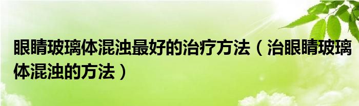 眼睛玻璃體混濁最好的治療方法（治眼睛玻璃體混濁的方法）