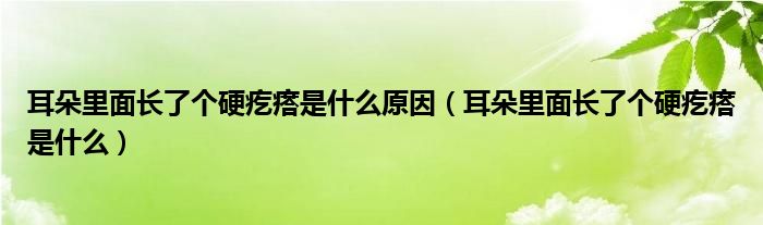 耳朵里面長了個硬疙瘩是什么原因（耳朵里面長了個硬疙瘩是什么）