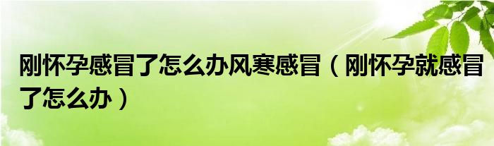 剛懷孕感冒了怎么辦風(fēng)寒感冒（剛懷孕就感冒了怎么辦）