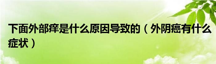 下面外部癢是什么原因?qū)е碌模ㄍ怅幇┯惺裁窗Y狀）