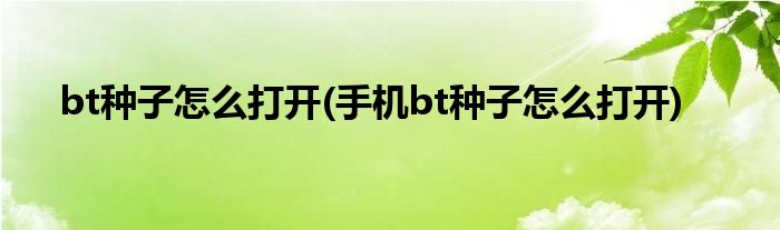 bt種子怎么打開(手機bt種子怎么打開)