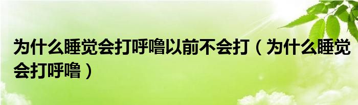 為什么睡覺會(huì)打呼嚕以前不會(huì)打（為什么睡覺會(huì)打呼嚕）