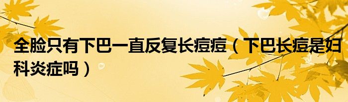 全臉只有下巴一直反復(fù)長(zhǎng)痘痘（下巴長(zhǎng)痘是婦科炎癥嗎）