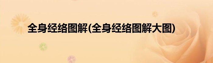 全身經(jīng)絡圖解(全身經(jīng)絡圖解大圖)