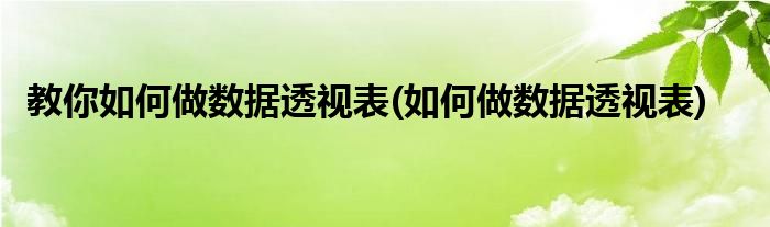 教你如何做數(shù)據(jù)透視表(如何做數(shù)據(jù)透視表)