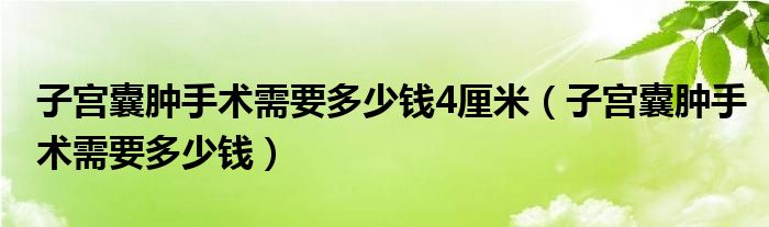 子宮囊腫手術需要多少錢4厘米（子宮囊腫手術需要多少錢）