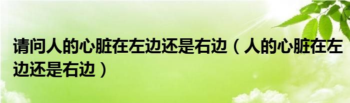 請問人的心臟在左邊還是右邊（人的心臟在左邊還是右邊）