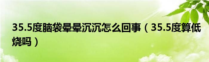 35.5度腦袋暈暈沉沉怎么回事（35.5度算低燒嗎）