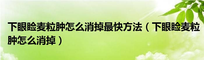 下眼瞼麥粒腫怎么消掉最快方法（下眼瞼麥粒腫怎么消掉）